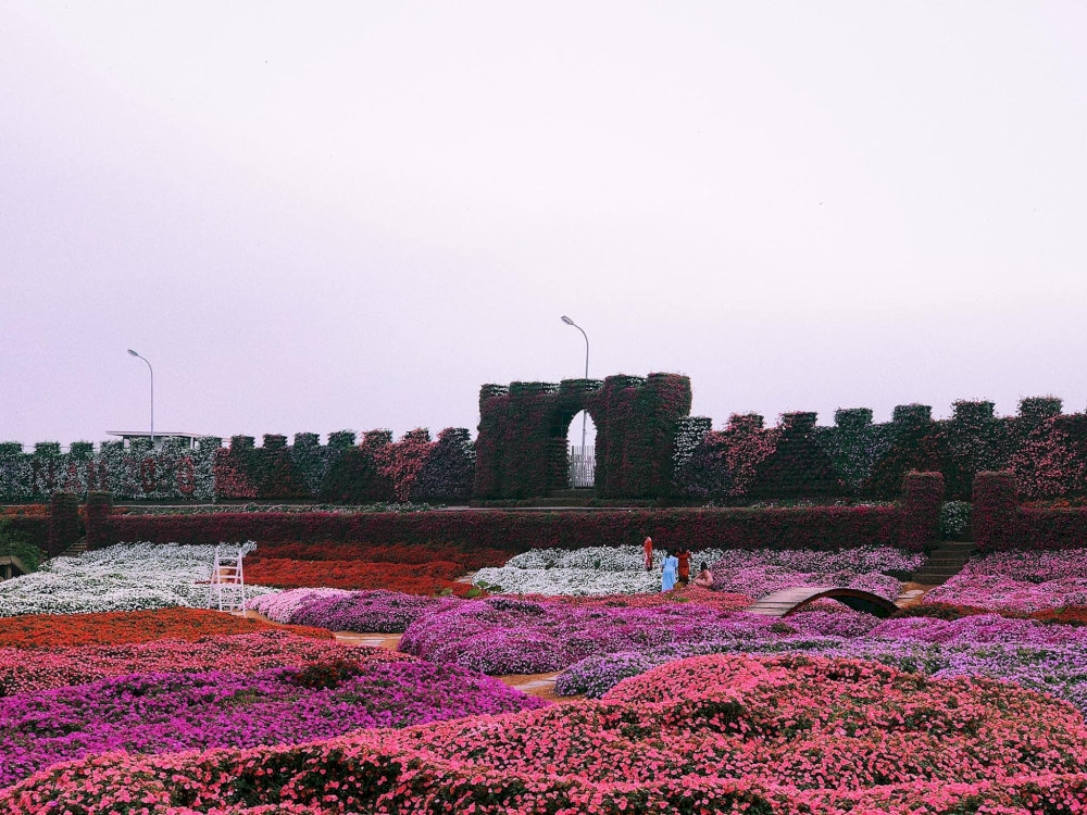 Discover the peaceful charm of West Lake Flower Valley